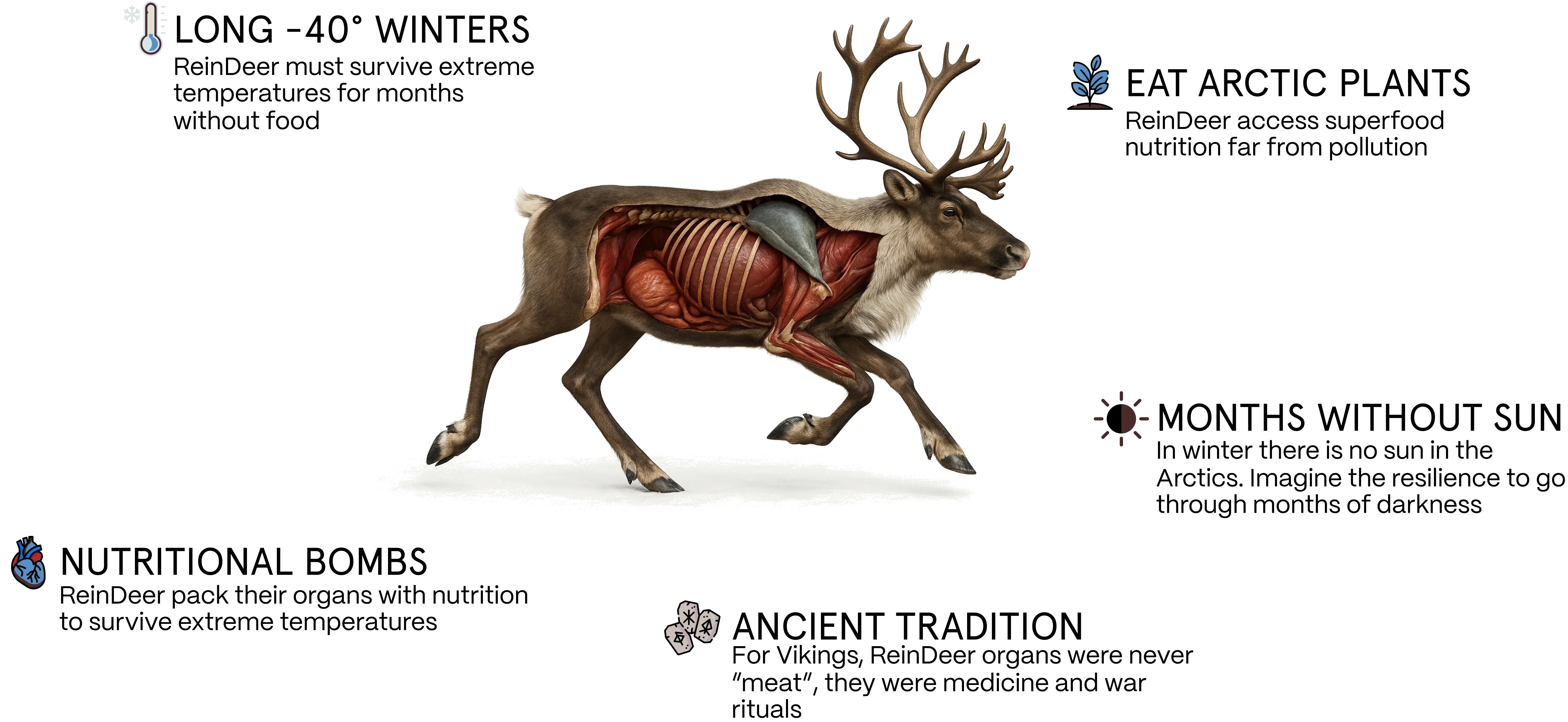 <p>Why Iron Tribe Celebrated<br/>ReinDeer Organs</p>